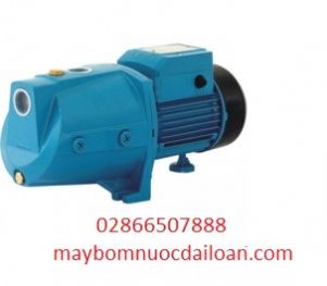 Máy bơm nước đẩy cao đầu JET cánh đồng Lepono AJm150L Máy bơm nước đẩy cao đầu JET cánh đồng Lepono AJm150L