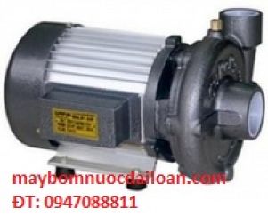 Máy bơm hút nước giếng sâu Superpum 1100W Máy bơm hút nước giếng sâu Superpum 1100W