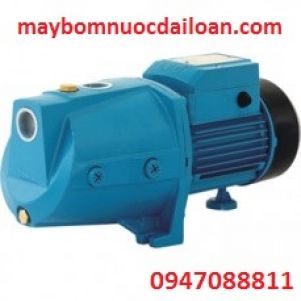 Máy bơm nước đẩy cao đầu JET cánh đồng Lepono XJWM/1C-E Máy bơm nước đẩy cao đầu JET cánh đồng Lepono XJWM/1C-E