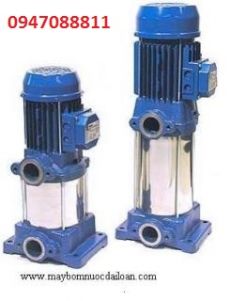 Máy bơm ly tâm trục đứng đa tầng cánh Ebara CVM AM/12 Máy bơm ly tâm trục đứng đa tầng cánh Ebara CVM AM/12