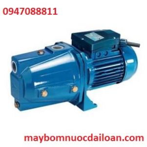 Máy bơm nước ly tâm dân dụng đầu gang Pentax Cam 100/00 SD 24L Máy bơm nước ly tâm dân dụng đầu gang Pentax Cam 100/00 SD 24L