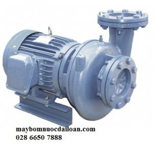 Máy Bơm Ly Tâm Dạng Xoáy Đầu Gang TECO 1HP HVP340-1-75 205 Máy Bơm Ly Tâm Dạng Xoáy Đầu Gang TECO 1HP HVP340-1-75 205